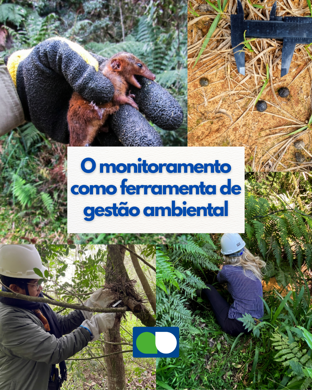 O monitoramento como ferramenta de gestão ambiental