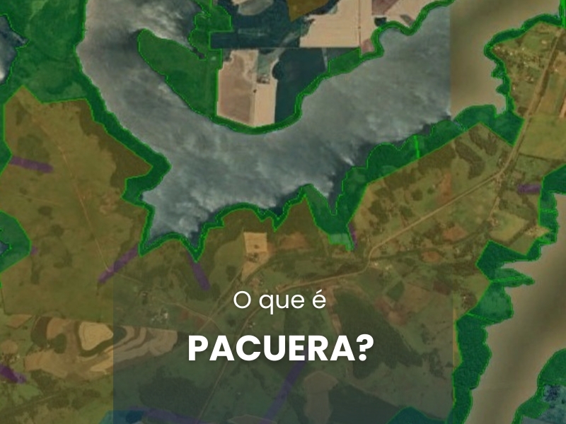 O que é Pacuera?