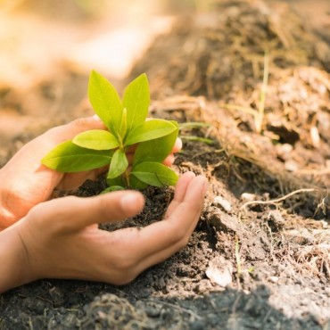 Elaboração e Execução de Programas de Educação Ambiental (PEA) em Forquilhinha