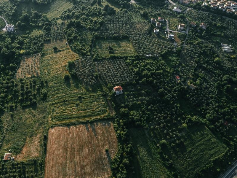 Estudo de Impacto Ambiental (EIA) e Relatório de Impacto Ambiental (RIMA) em Eusébio
